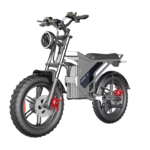 D75 1500w Modern Electric Bicycle